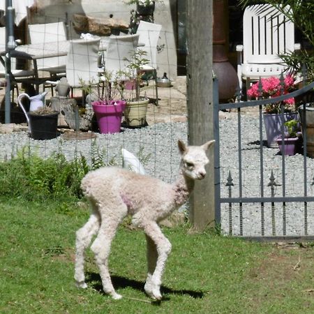 Rancon Lazy Days B&B 외부 사진